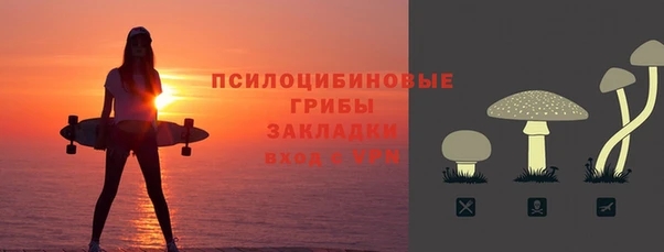 бошки Белокуриха