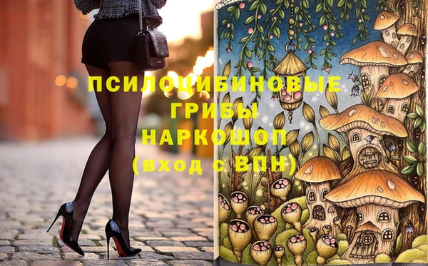 бошки Белокуриха