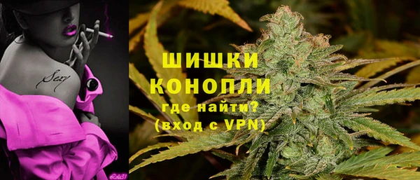 бошки Белокуриха