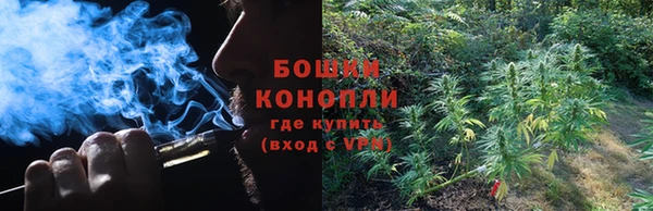 бошки Белокуриха