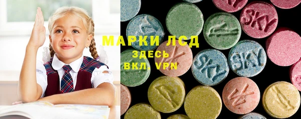 бошки Белокуриха
